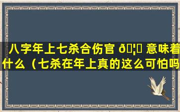 八字年上七杀合伤官 🦊 意味着什么（七杀在年上真的这么可怕吗）